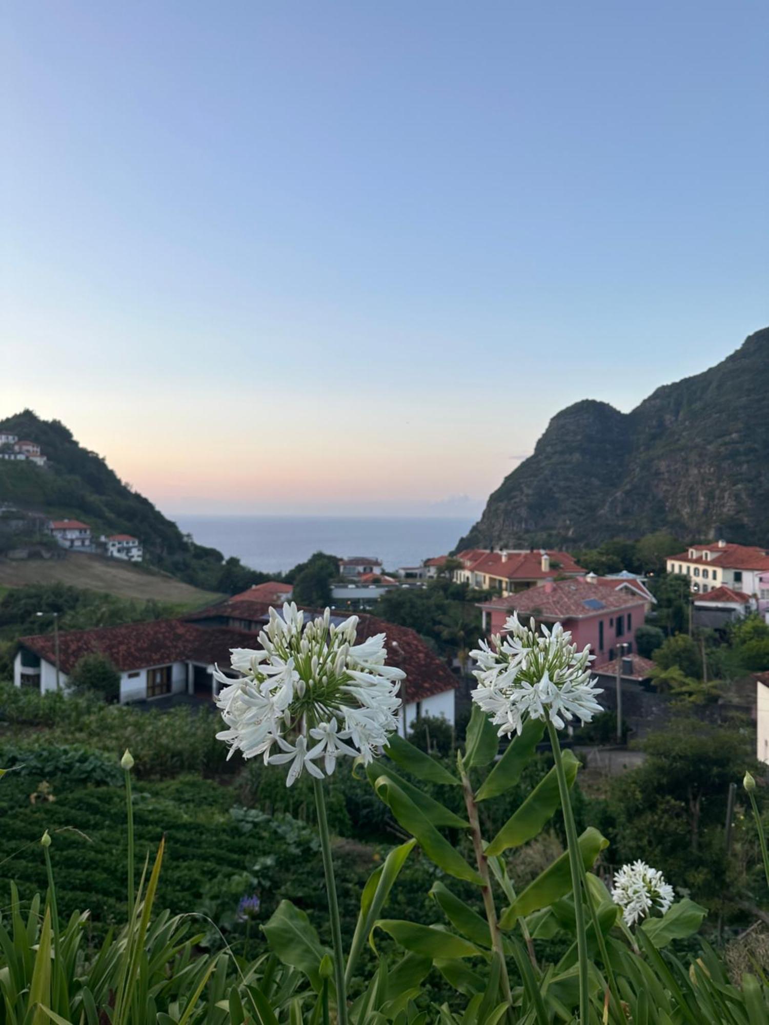 The Green Valley House São Vicente المظهر الخارجي الصورة